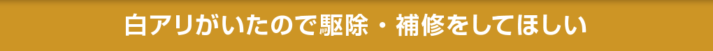 白アリがいたので駆除・補修をしてほしい
